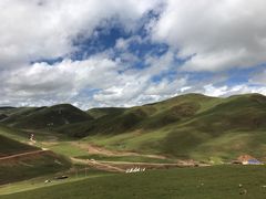 -大冬树山垭口