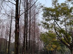 -成都南湖公园