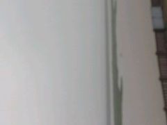 android_upload_pic-湖南东洞庭湖国家级自然保护区