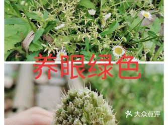 在城市里面待久了,适合去野外呼吸一下新鲜的空气