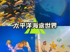 -太平洋海底世界