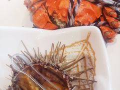 -淡尾·海鲜自助概念餐厅(虹桥南丰城店)