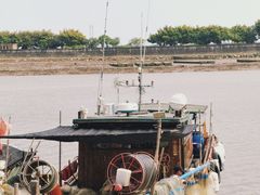 -大湾区中央湿地公园-十九涌
