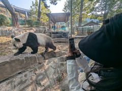 -大连森林动物园