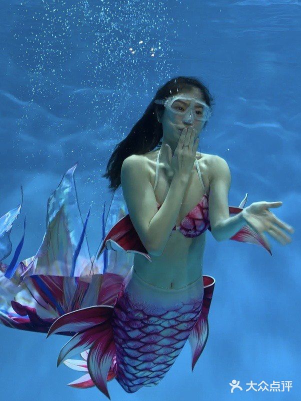 吃饭还能能看到美人鱼🧜🏻‍♀️｜中山K6潜水餐吧