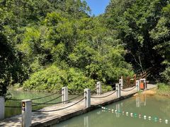 -广州白江湖森林公园