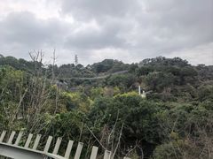 -福道