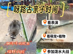 -呀路古热带植物园