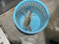 -旺豪海鲜餐厅(友谊阳光城店)