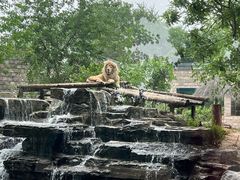 -北京野生动物园