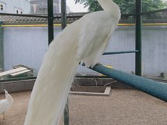 -瑞博尔花园酒店(太周创新产业园店)