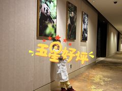 -成都保利公园皇冠假日酒店(熊猫基地店)