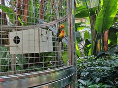 -大连森林动物园