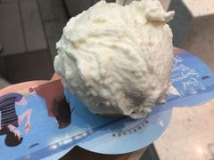 蜂蜜茉莉-野人先生现做冰淇淋(西安赛格店)