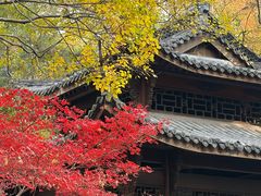 -灵顺寺
