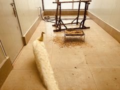 -沈阳森林动物园