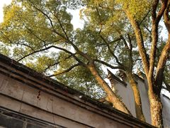 -天一阁博物院