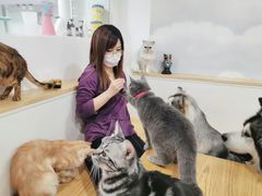 -李小姐の猫咖啡馆(五角场店)