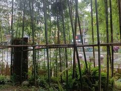 -扫雪煮茶(西村店)