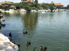 -威海华夏城景区