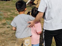 -秀丽东方
