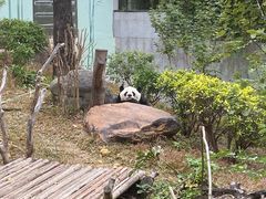 -南宁市动物园