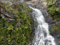 -热带雨林自然公园