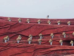 -印象丽江