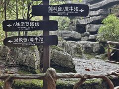 -梭布垭石林景区