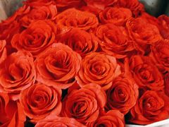 -摩根扒房(桐梓林店)