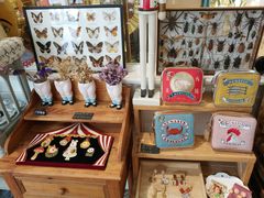 -恋物百货商店(华侨城店)