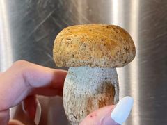 美味牛肝菌-易门野生菌府·菌海森林(月牙潭公园店)