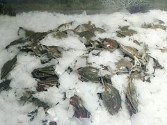 -和谐号(全运路万达店)