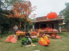 -HERRE·FARM 赫尔露营农场·团建聚会包场