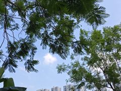 -重庆彩云湖湿地公园