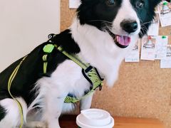 拿铁-LAB COFFEE来杯咖啡(浦仓路店)