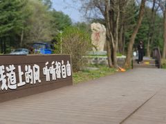 -黄椅山火山森林公园