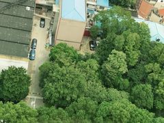 -裕和堂中医推拿艾灸(太古汇臻品店)