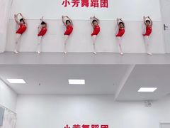 -小芳舞蹈团·少儿舞蹈·中国舞(龙江校区)