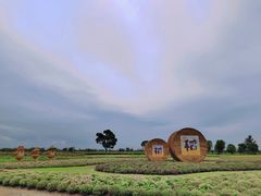 -嘉北郊野公园