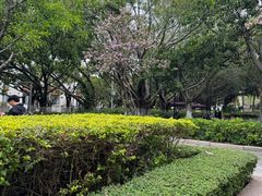 -厦门大学(思明校区)