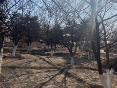 -绿堤公园