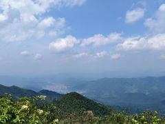 -江西阳明山国家森林公园