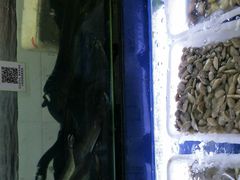 -欢乐海岸美食联盟