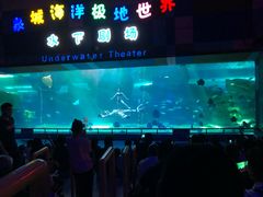 -泉城欧乐堡海洋极地世界