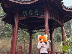 -云龙山