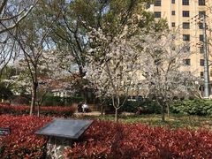 -徐家汇源景区-衡山公园