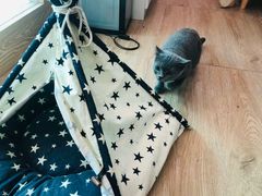 -iF摄影•全家福•证件照•形象照(南山店)