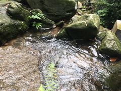 -藏龙百瀑风景区