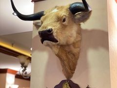 -摩根扒房(桐梓林店)